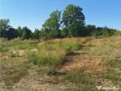 Reco, Parcel? de teren suprafata mare Alesd 