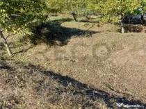 Reco Teren intravilan zona exclusivista 866 mp Gheorge Doja