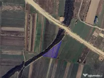 RECO Teren intravilan zona Cordau President