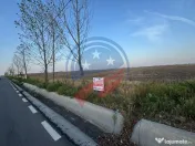 Teren generos, situat pe drum asfaltat între Craiova și... 