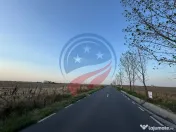 Teren generos, situat pe drum asfaltat între Craiova și... 
