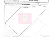 Vanzare teren intravilan agricol in zona Mihailesti, Giurgiu 