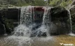 Teren extravilan parcelabil Călățele Pădure, zona Dea...