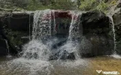 Teren extravilan parcelabil Călățele Pădure, zona Dea... 