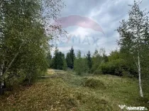 Teren extravilan parcelabil Călățele Pădure, zona Dea...