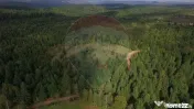 Teren extravilan parcelabil Călățele Pădure, zona Dea... 