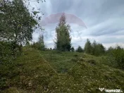 Teren extravilan parcelabil Călățele Pădure, zona Dea... 