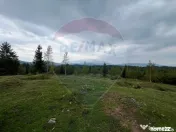 Teren extravilan parcelabil Călățele Pădure, zona Dea... 