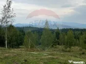 Teren extravilan parcelabil Călățele Pădure, zona Dea... 