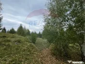 Teren extravilan parcelabil Călățele Pădure, zona Dea... 