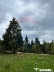 Teren extravilan parcelabil Călățele Pădure, zona Dea... 