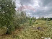 Teren extravilan parcelabil Călățele Pădure, zona Dea... 