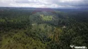 Teren extravilan parcelabil Călățele Pădure, zona Dea... 