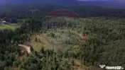 Teren extravilan parcelabil Călățele Pădure, zona Dea... 
