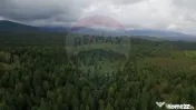 Teren extravilan parcelabil Călățele Pădure, zona Dea... 