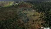 Teren extravilan parcelabil Călățele Pădure, zona Dea... 