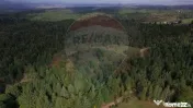 Teren extravilan parcelabil Călățele Pădure, zona Dea... 