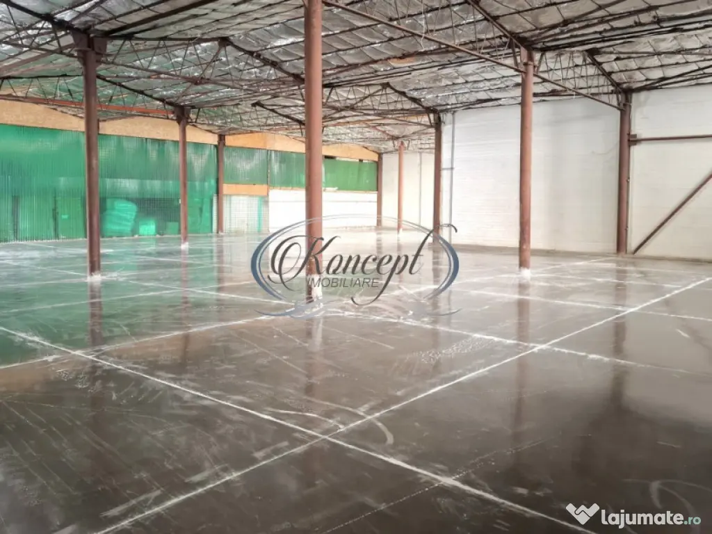 Hala ideala pentru productie sau logistica, pe Calea Baciulu