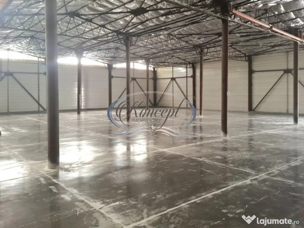 Hala ideala pentru productie sau logistica, pe Calea Baciulu