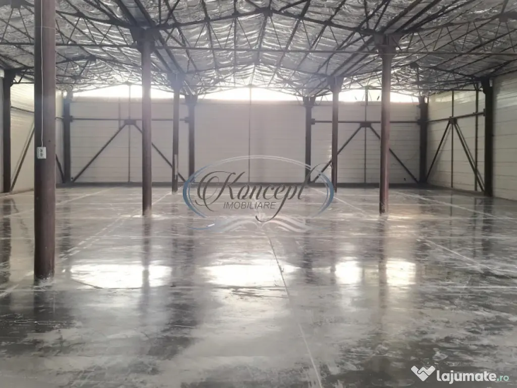 Hala ideala pentru productie sau logistica, pe Calea Baciulu