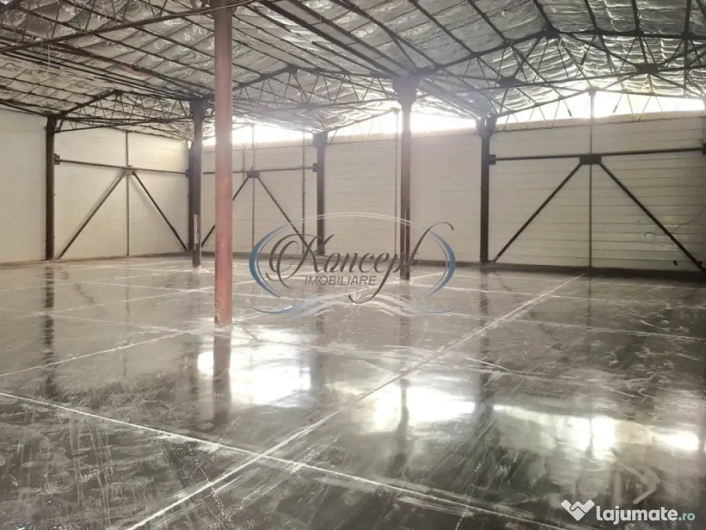 Hala ideala pentru productie sau logistica, pe Calea Baciulu