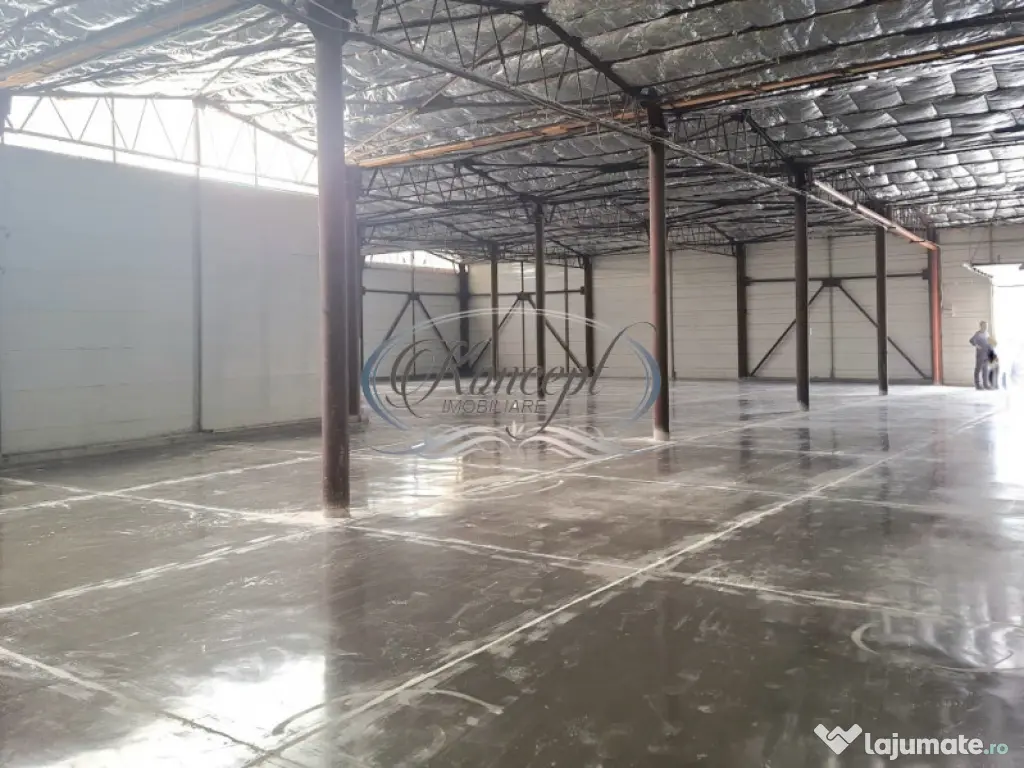 Hala ideala pentru productie sau logistica, pe Calea Baciulu