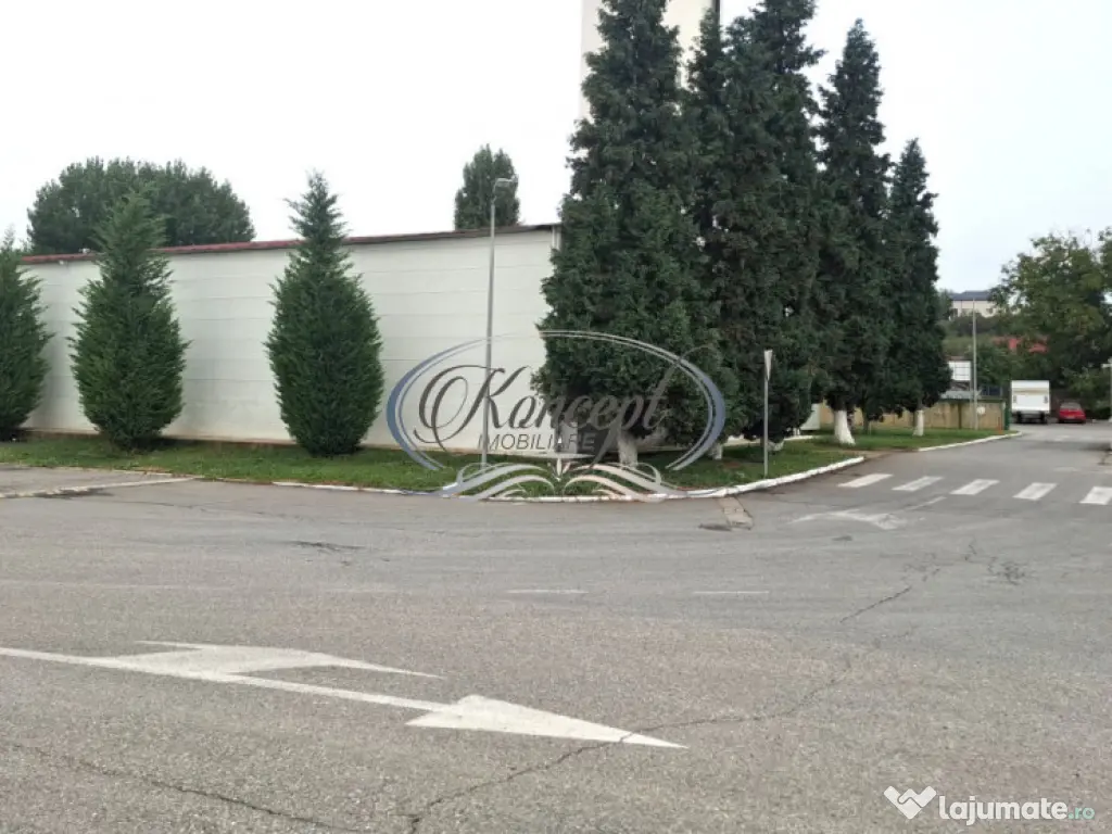 Hala ideala pentru productie sau logistica, pe Calea Baciulu