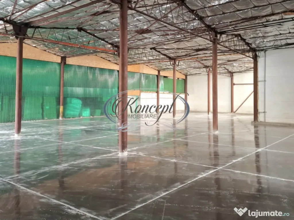 Hala ideala pentru productie sau logistica, pe Calea Baciulu