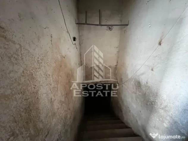 Spatiu comercial cu vitrină mare și depozit generos Timisoara - Timisoara (Timis)