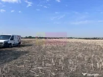 Teren Domnesti strada Ciocarliei.