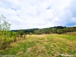 Teren 1,4 hectare Draganu Arges
