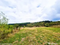 Teren 1,4 hectare Draganu Arges