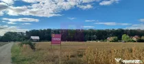 Gulia teren 11.157 mp, lângă Pădurea Cereanca