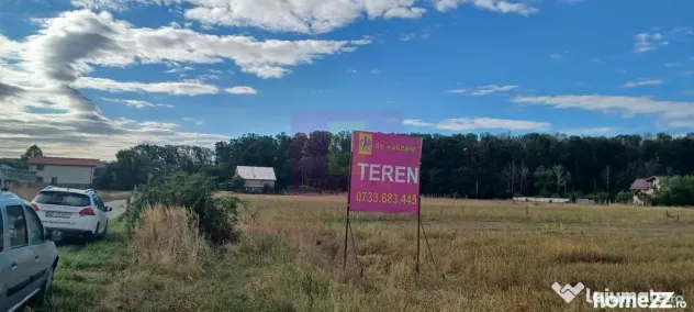 Gulia teren 11.157 mp, lângă Pădurea Cereanca - Gulia (Dambovita)