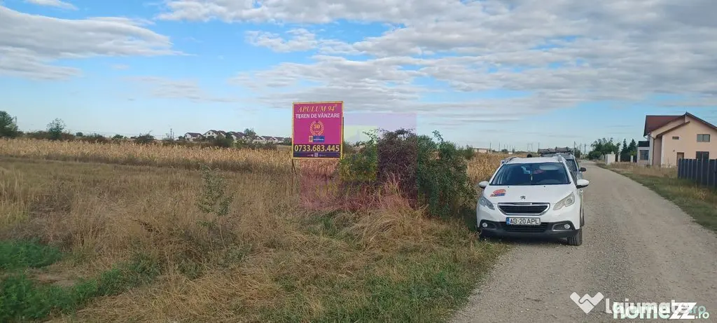 Gulia teren 11.157 mp, lângă Pădurea Cereanca - Gulia (Dambovita)
