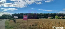 Gulia teren 11.157 mp, lângă Pădurea Cereanca