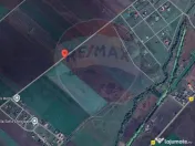 Teren 10.875 MP | Hălchiu | Jud. Brasov 