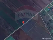 Teren 10.875 MP | Hălchiu | Jud. Brasov 