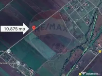 Teren 10.875 MP | Hălchiu | Jud. Brasov