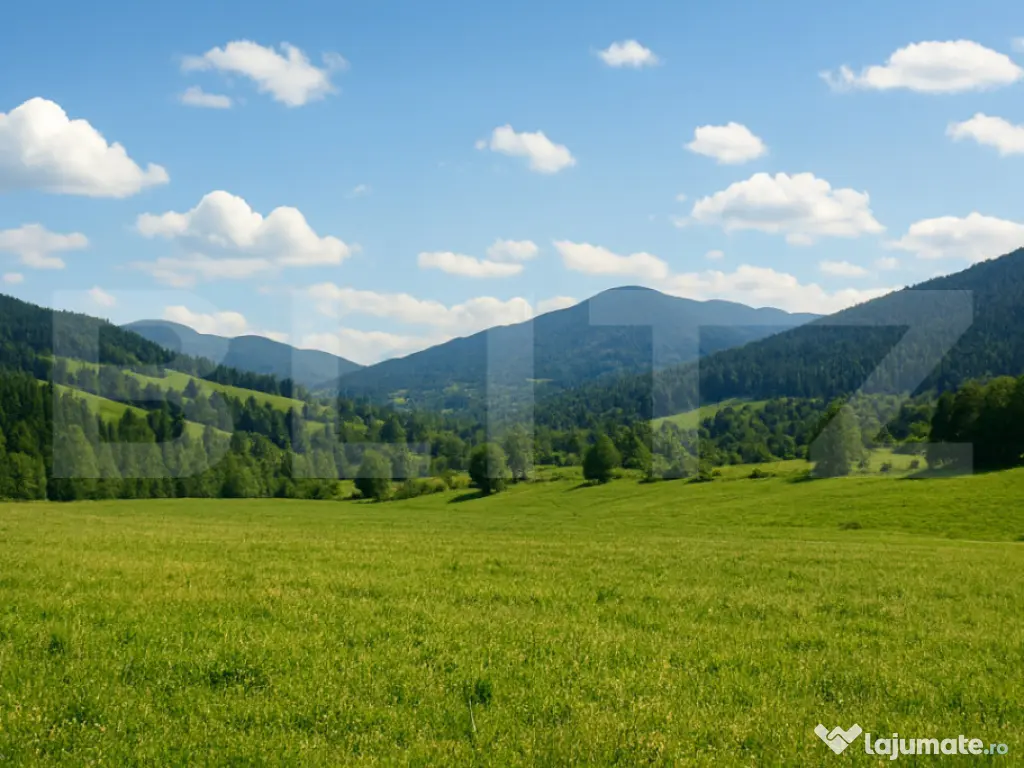 Teren intravilan de vanzare, 7.000 mp, Vatra Dornei