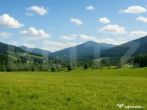 Teren intravilan de vanzare, 7.000 mp, Vatra Dornei