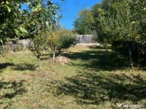 Teren 1128 intravilan + Casa batraneasca Darmanesti Arges