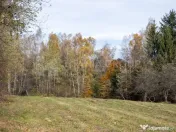 Teren intravilan, cu PUZ, Bran Tohanita, SE ACCEPTĂ ȘI ... 