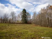 Teren intravilan, cu PUZ, Bran Tohanita, SE ACCEPTĂ ȘI ... 