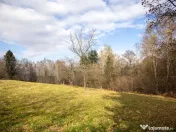 Teren intravilan, cu PUZ, Bran Tohanita, SE ACCEPTĂ ȘI ... 