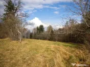 Teren intravilan, cu PUZ, Bran Tohanita, SE ACCEPTĂ ȘI ... 