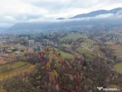 Teren intravilan, cu PUZ, Bran Tohanita, SE ACCEPTĂ ȘI ... 