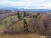 Teren intravilan, cu PUZ, Bran Tohanita, SE ACCEPTĂ ȘI ... 