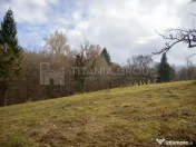 Teren intravilan, cu PUZ, Bran Tohanita, SE ACCEPTĂ ȘI ... 