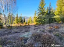 Teren intravilan 3120 mp – Munții Apuseni, Sohodol (com.